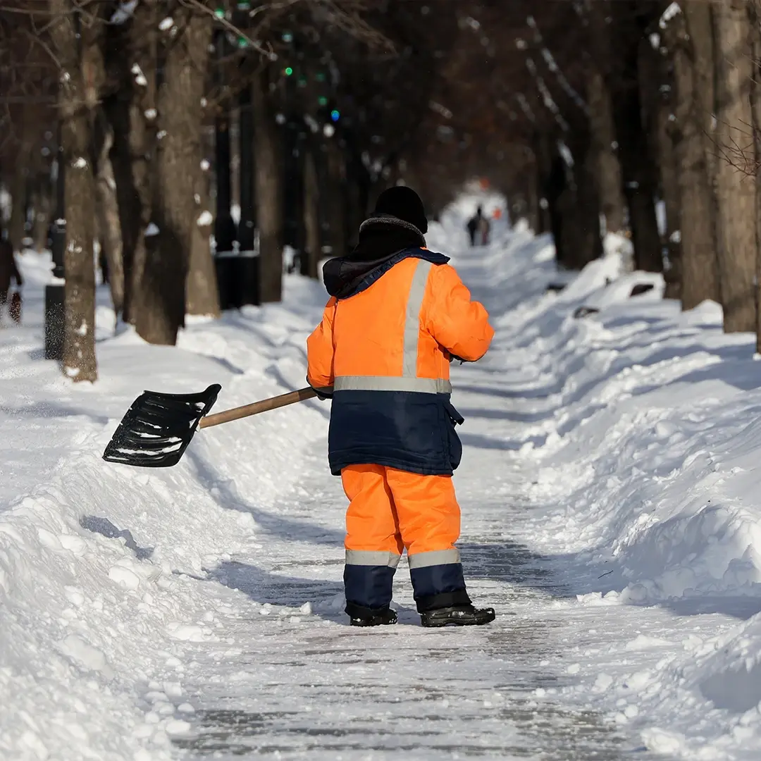 Snöskyfflar i motljus, redo för snöröjning av gångbanan