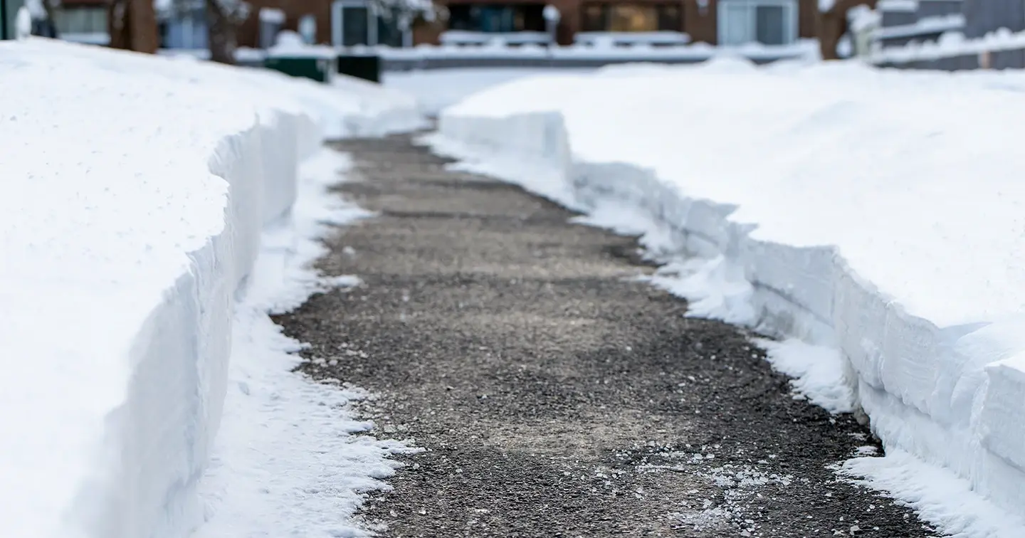 Skottad gångbana mellan snödrivor