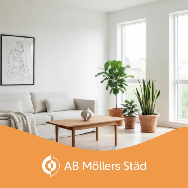 Behöver du hemstäd, flyttstäd eller storstädning? Hos Möllers Städ i Malmö får du som kund professionell städning - alltid med Nöjd-Kund-Garanti. Boka på vår hemsida eller ring 040-29 50 14 idag! 

 #Städning #städning #städfirma #städfirmamalmö #hemstäd #hemstädning